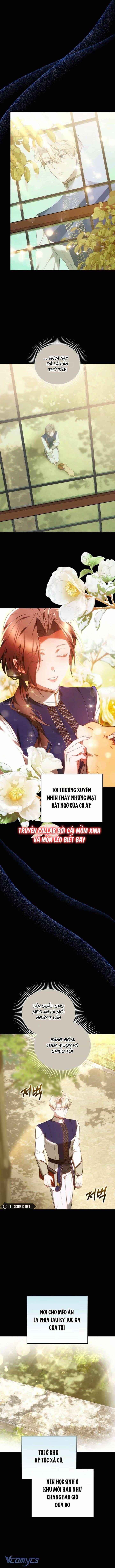 Lý Do Mà Ác Nữ Ấy Cầm Kiếm - Chương 18 - ảnh 11