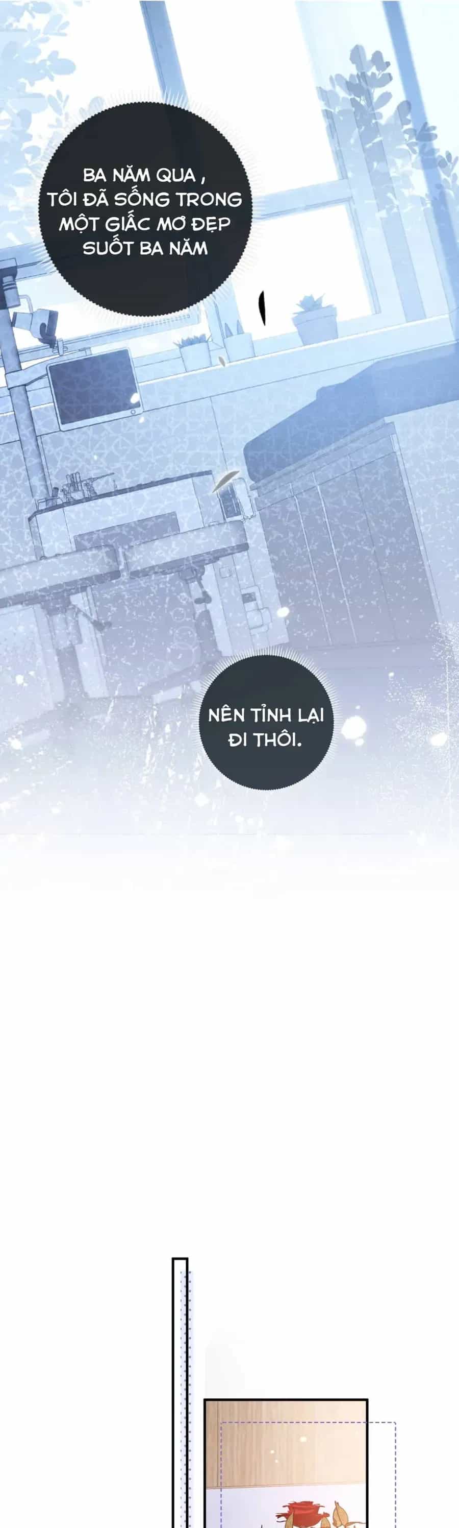 Ly Hôn Rồi, Ta Hướng Tới Hạnh Phúc - Chương 2 - ảnh 19