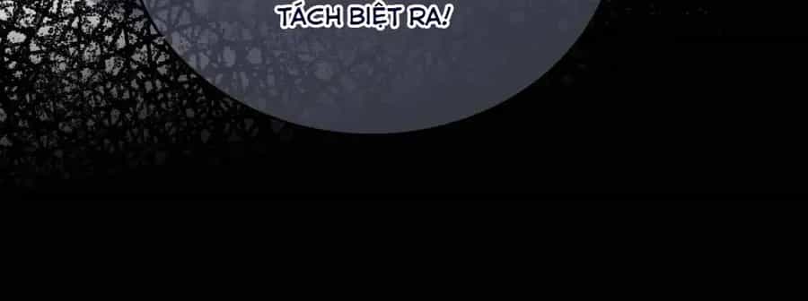 Ly Hôn Rồi, Ta Hướng Tới Hạnh Phúc - Chương 6 - ảnh 12
