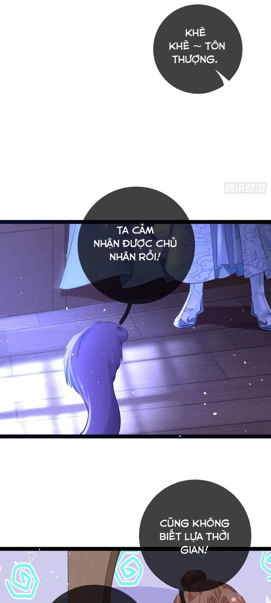 Ma Đầu Vạn Ác Năm Tuổi Rưỡi - Chương 62 - ảnh 13