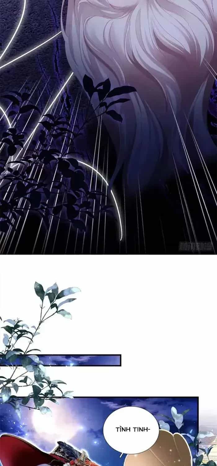 Ma Nữ Trở Lại Và Cuộc Hôn Nhân Định Mệnh - Chương 33 - ảnh 20