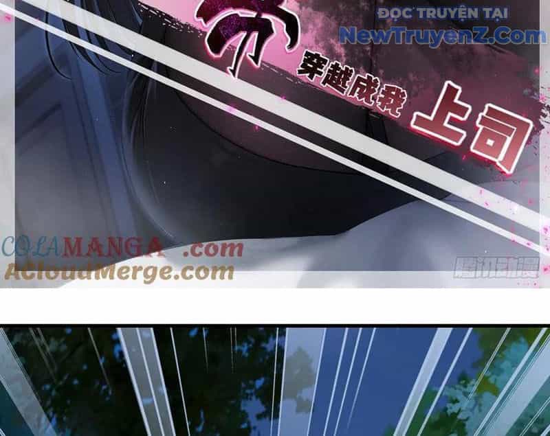 Ma Tôn Nữ Đế Xuyên Không Thành Cấp Trên Của Tôi! - Chương 43 - ảnh 6