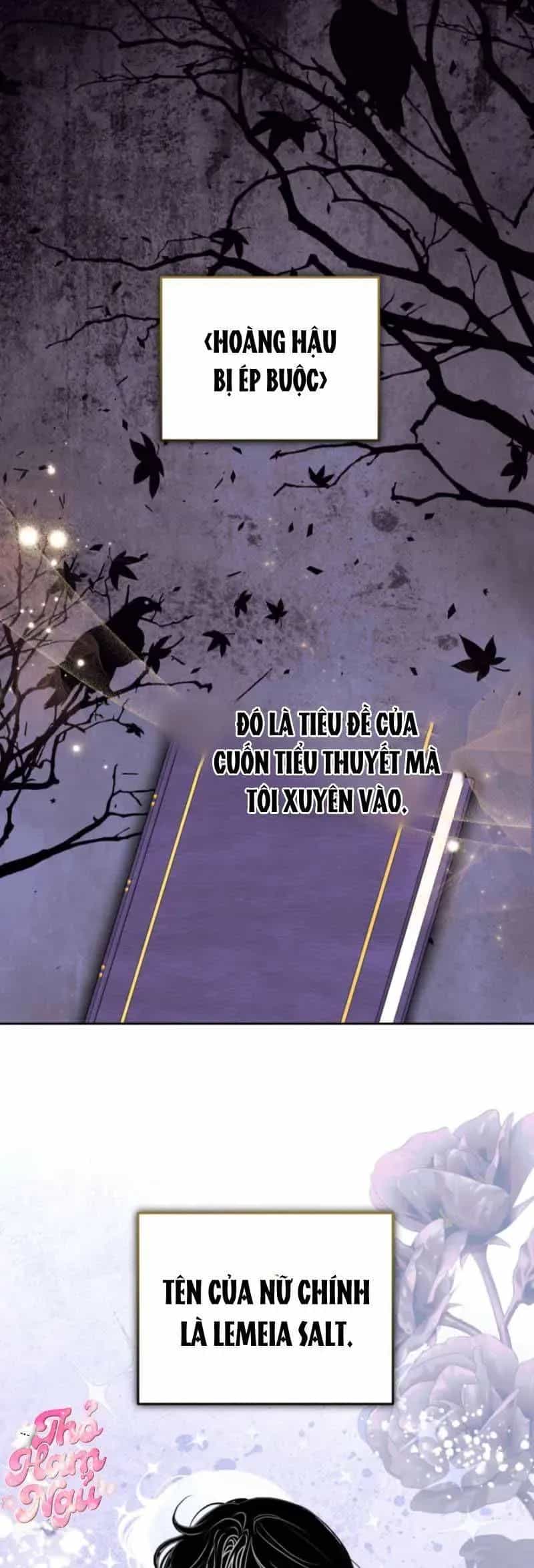 Mặc Dù Thích Ở Nhà Nhưng Tôi Lại Xuyên Vào Thể Loại Giam Cầm Đen Tối - Chương 1 - ảnh 27