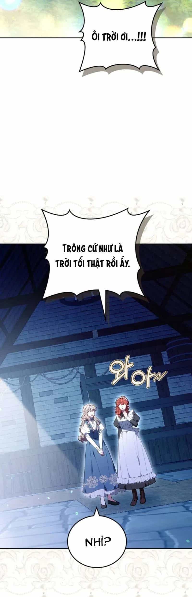 Mặc Dù Thích Ở Nhà Nhưng Tôi Lại Xuyên Vào Thể Loại Giam Cầm Đen Tối - Chương 15 - ảnh 12