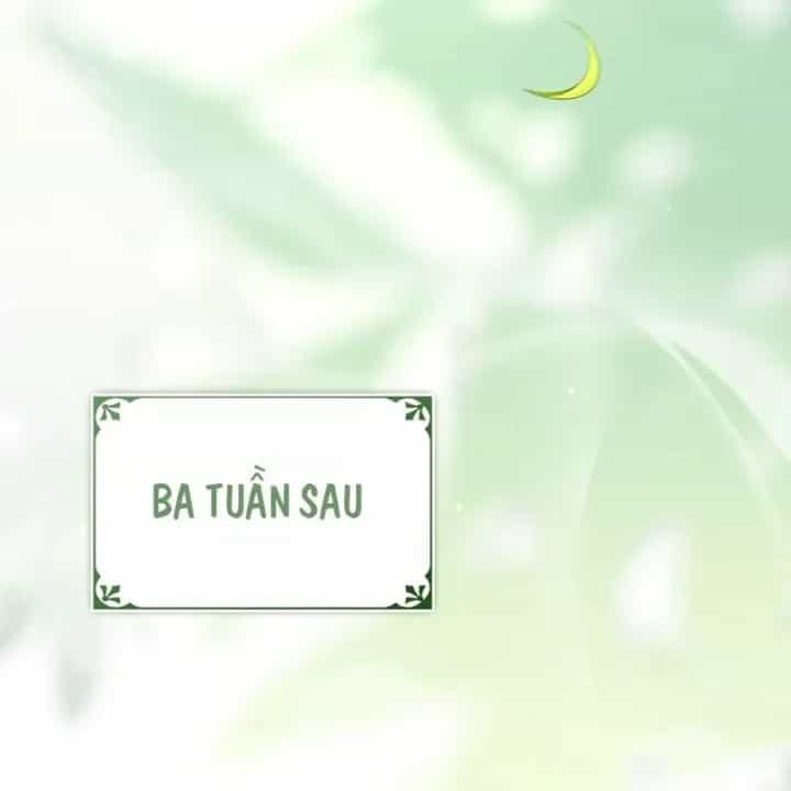 Mặc Kệ Kế Vị, Tôi Chỉ Muốn Chữa Lành - Chương 25 - ảnh 83