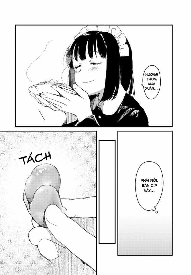 Maid-San Wa Taberu Dake - Chương 13 - ảnh 13