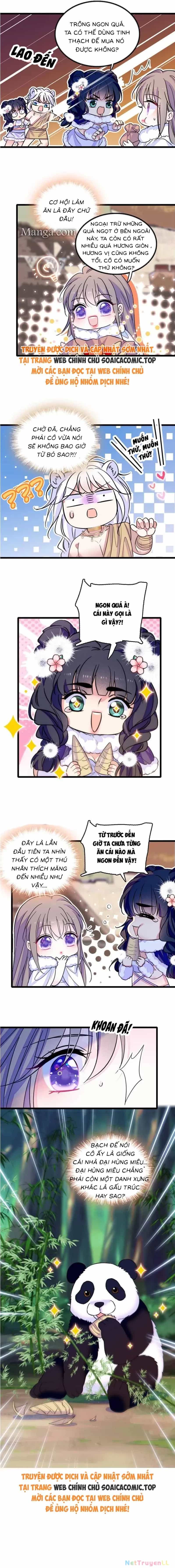 Manh Động Thú Thế - Chương 166 - ảnh 5