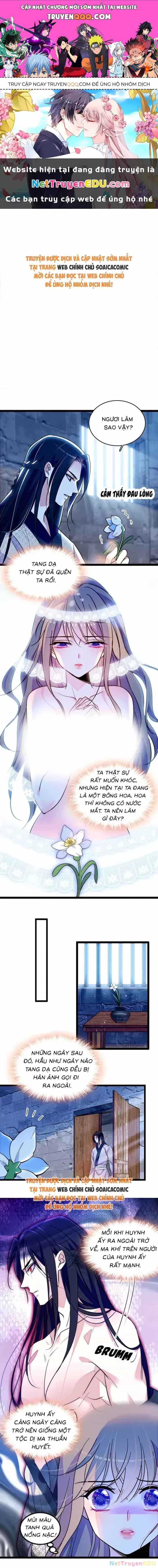 Manh Động Thú Thế - Chương 231 - ảnh 1