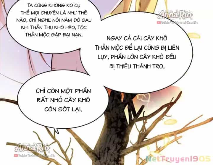 Manh Động Thú Thế - Chương 517 - ảnh 26