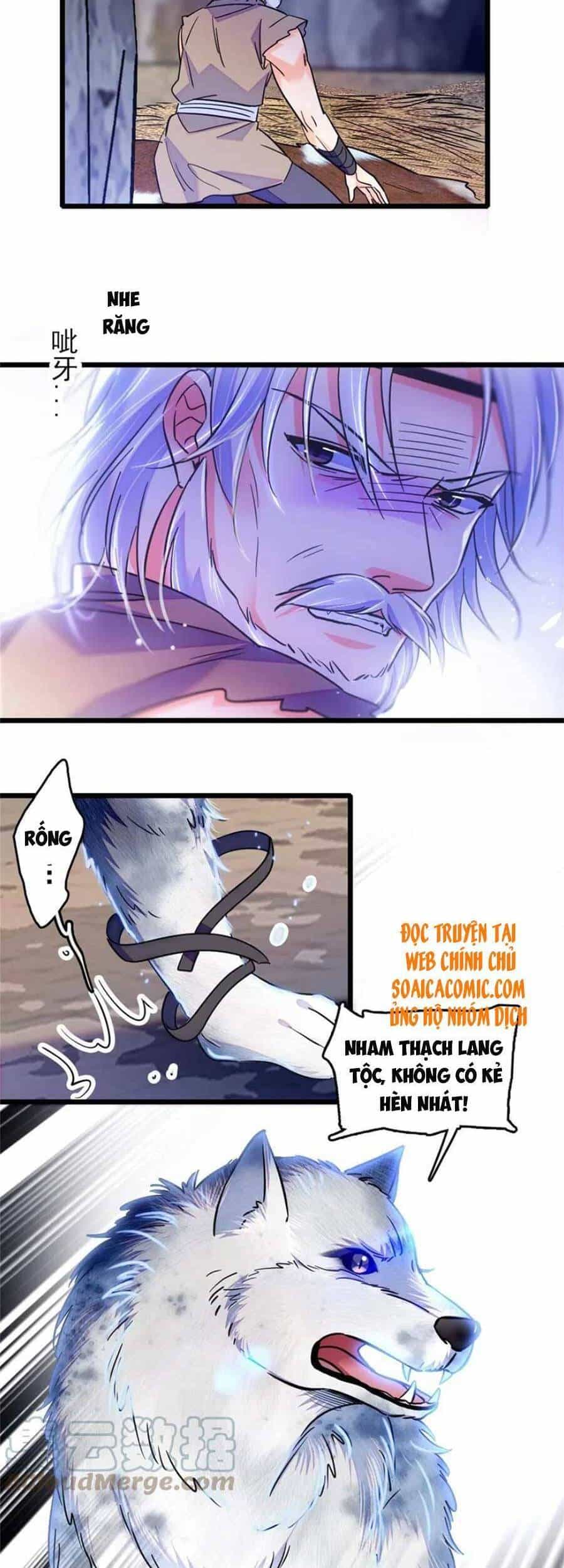 Manh Động Thú Thế - Chương 53 - ảnh 14