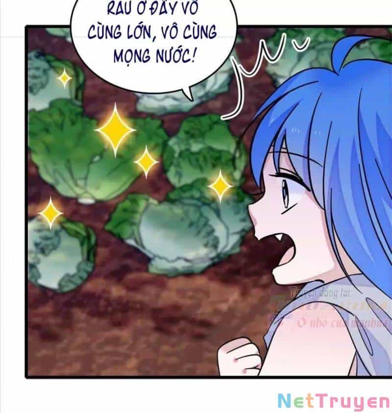 Manh Động Thú Thế - Chương 80 - ảnh 41