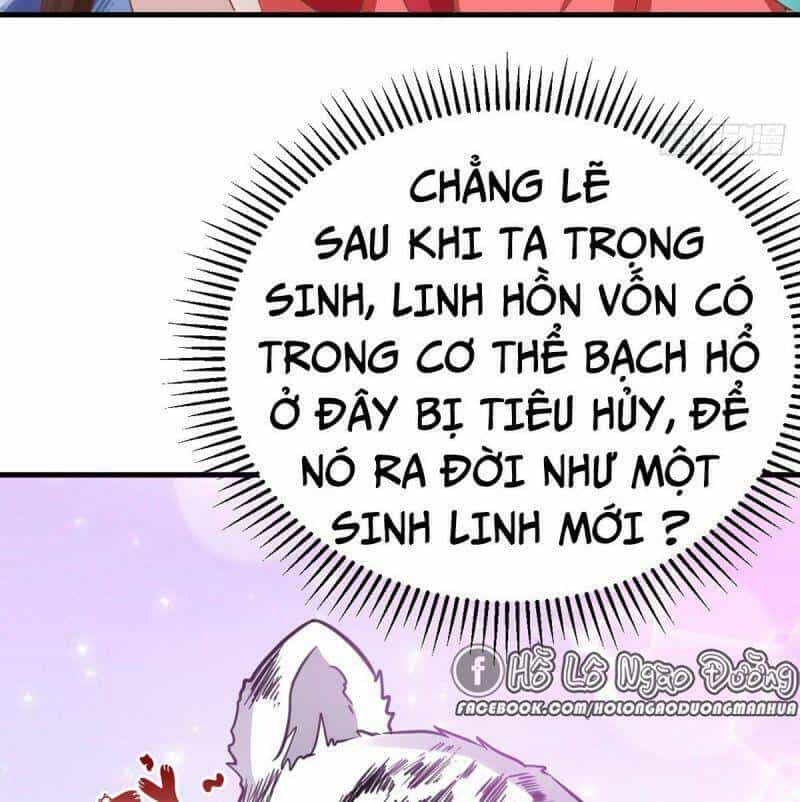 Manh Hổ Trọng Sinh : Tướng Quân Đại Nhân Muốn Ôm Ôm - Chương 12 - ảnh 12