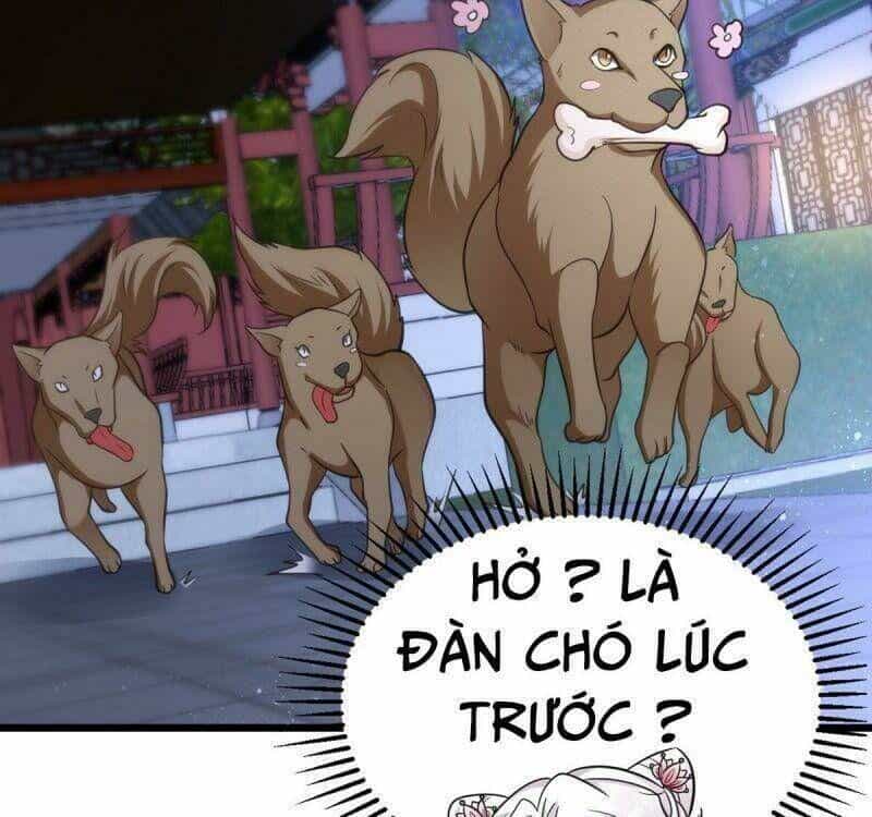 Manh Hổ Trọng Sinh : Tướng Quân Đại Nhân Muốn Ôm Ôm - Chương 26 - ảnh 11