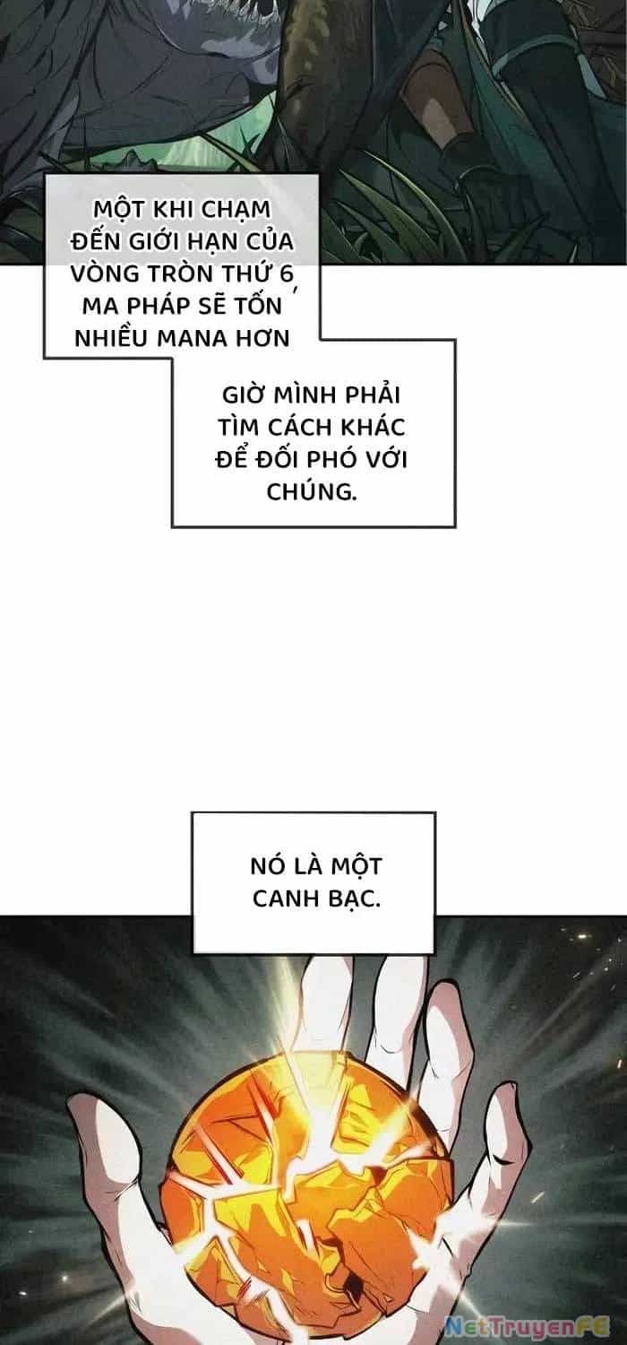 Mạo Hiểm Giả Cuối Cùng - Chương 40 - ảnh 7