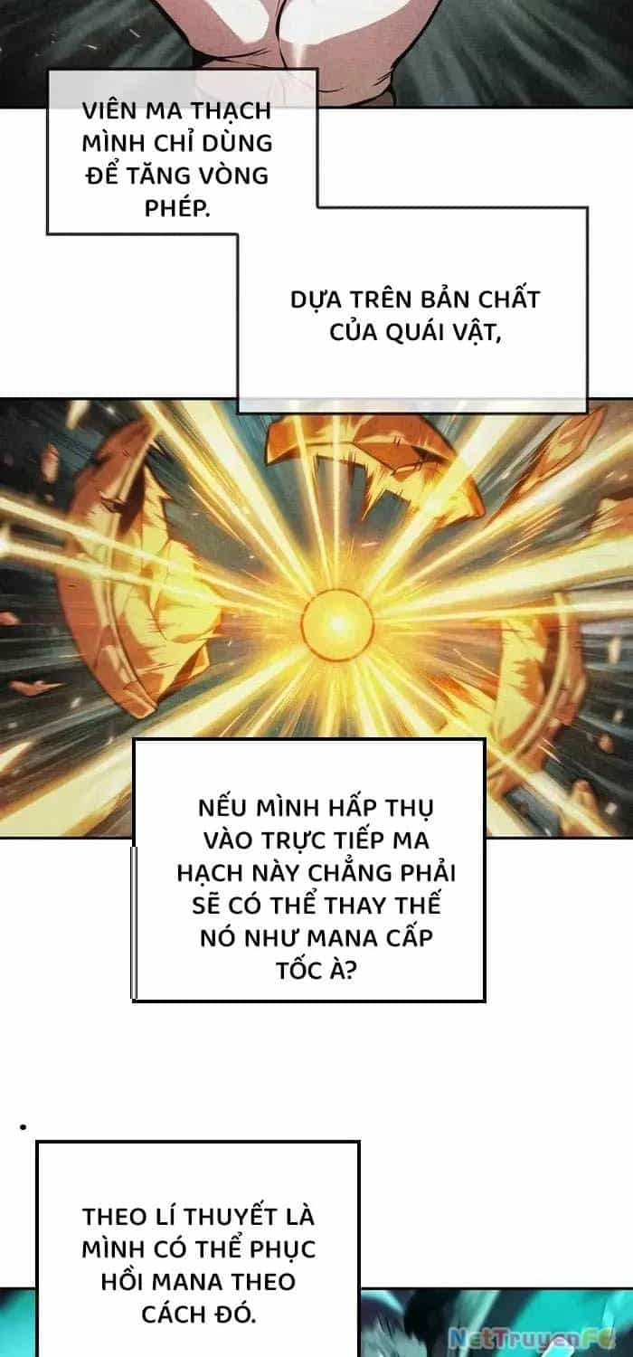 Mạo Hiểm Giả Cuối Cùng - Chương 40 - ảnh 8