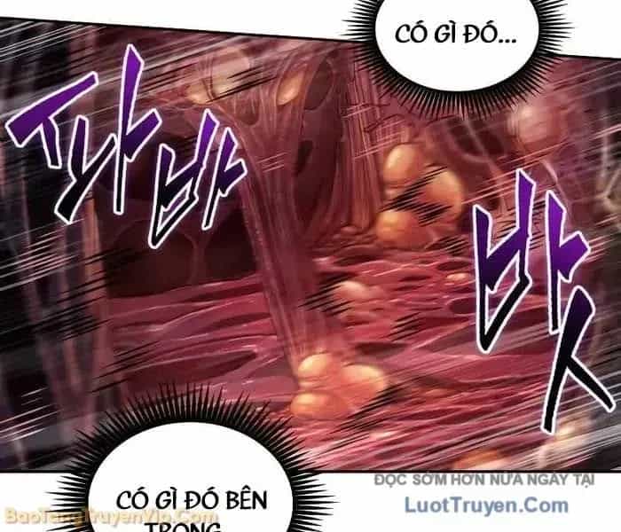 Mạo Hiểm Giả Cuối Cùng - Chương 93 - ảnh 104