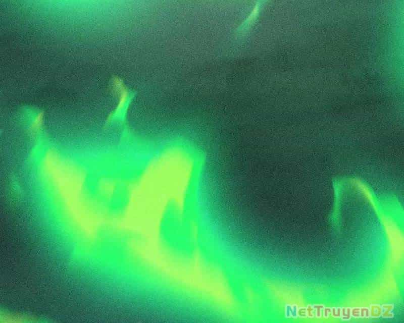 Mạt Nhật Thiên Hạ: Ta, Virus Quân Vương - Chương 41 - ảnh 47