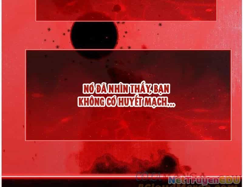 Mạt Nhật Thiên Hạ: Ta, Virus Quân Vương - Chương 52 - ảnh 62