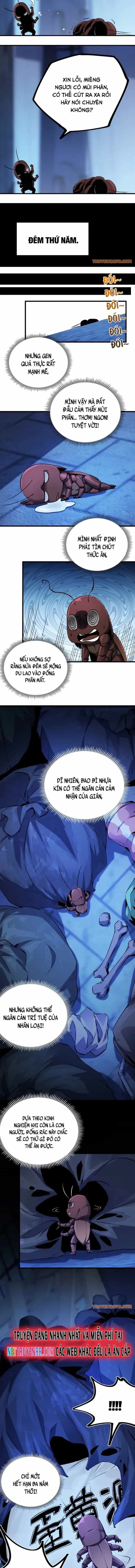 Mạt Thế Cẩu Sinh: Gián Giúp Ta Chồng Buff - Chương 2 - ảnh 5