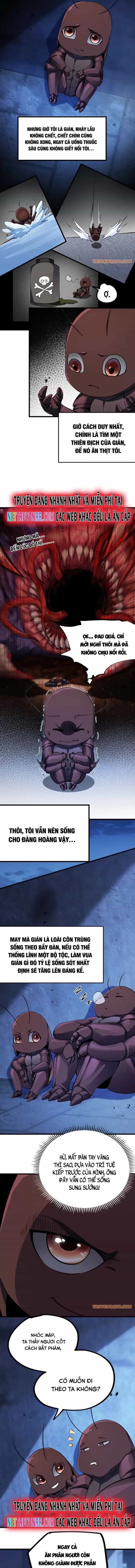 Mạt Thế Cẩu Sinh: Gián Giúp Ta Chồng Buff - Chương 2 - ảnh 7