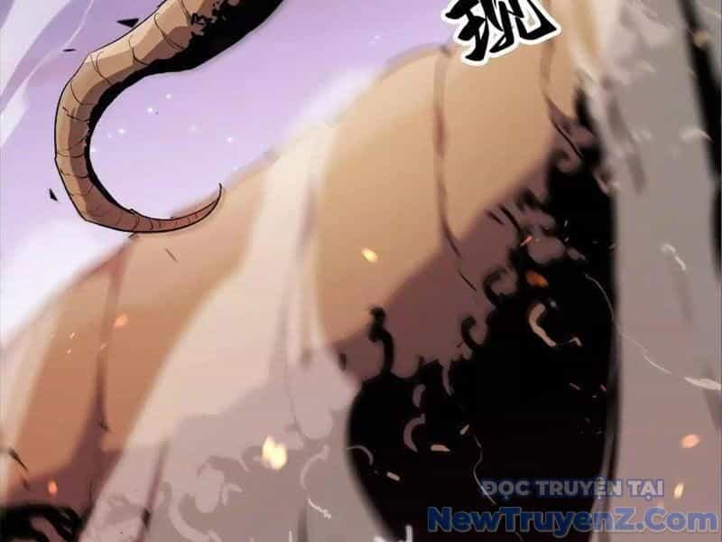 Mạt Thế Cẩu Sinh: Gián Giúp Ta Chồng Buff - Chương 43 - ảnh 5