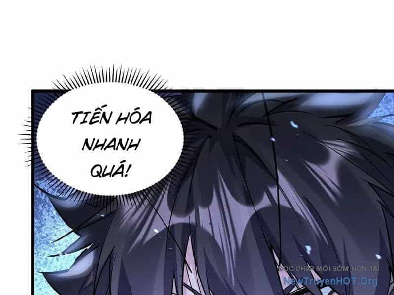 Mạt Thế Cẩu Sinh: Gián Giúp Ta Chồng Buff - Chương 55 - ảnh 81