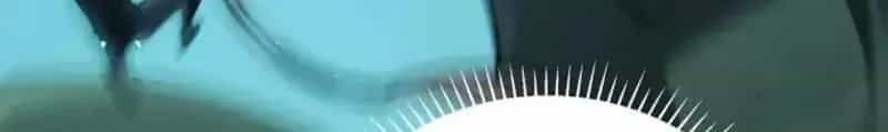Mạt Thế Cẩu Sinh: Gián Giúp Ta Chồng Buff - Chương 86 - ảnh 127