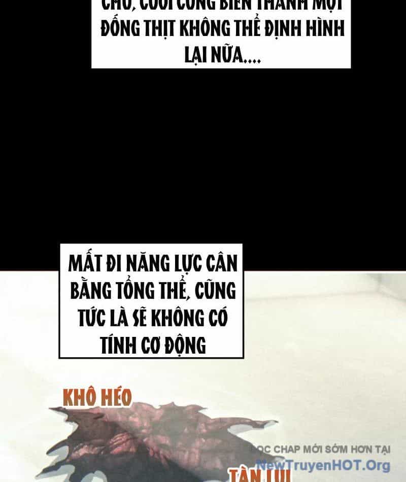 Mạt Thế Trọng Sinh: Ta Quay Gacha Làm Trùm! - Chương 61 - ảnh 23