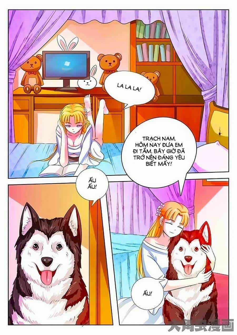 Mau Lấy Con Mèo Đó Ra - Chương 1 - ảnh 15