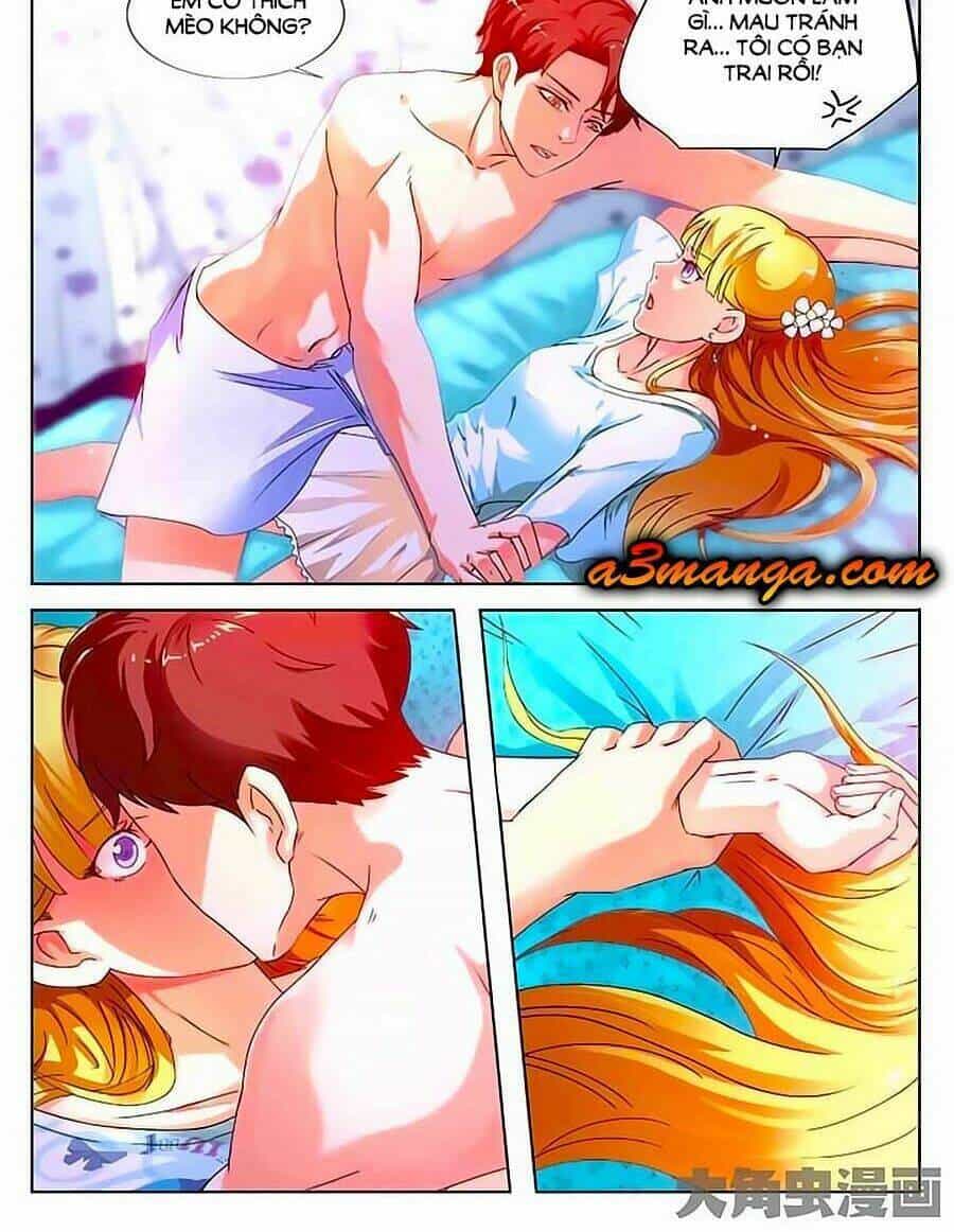 Mau Lấy Con Mèo Đó Ra - Chương 1 - ảnh 2