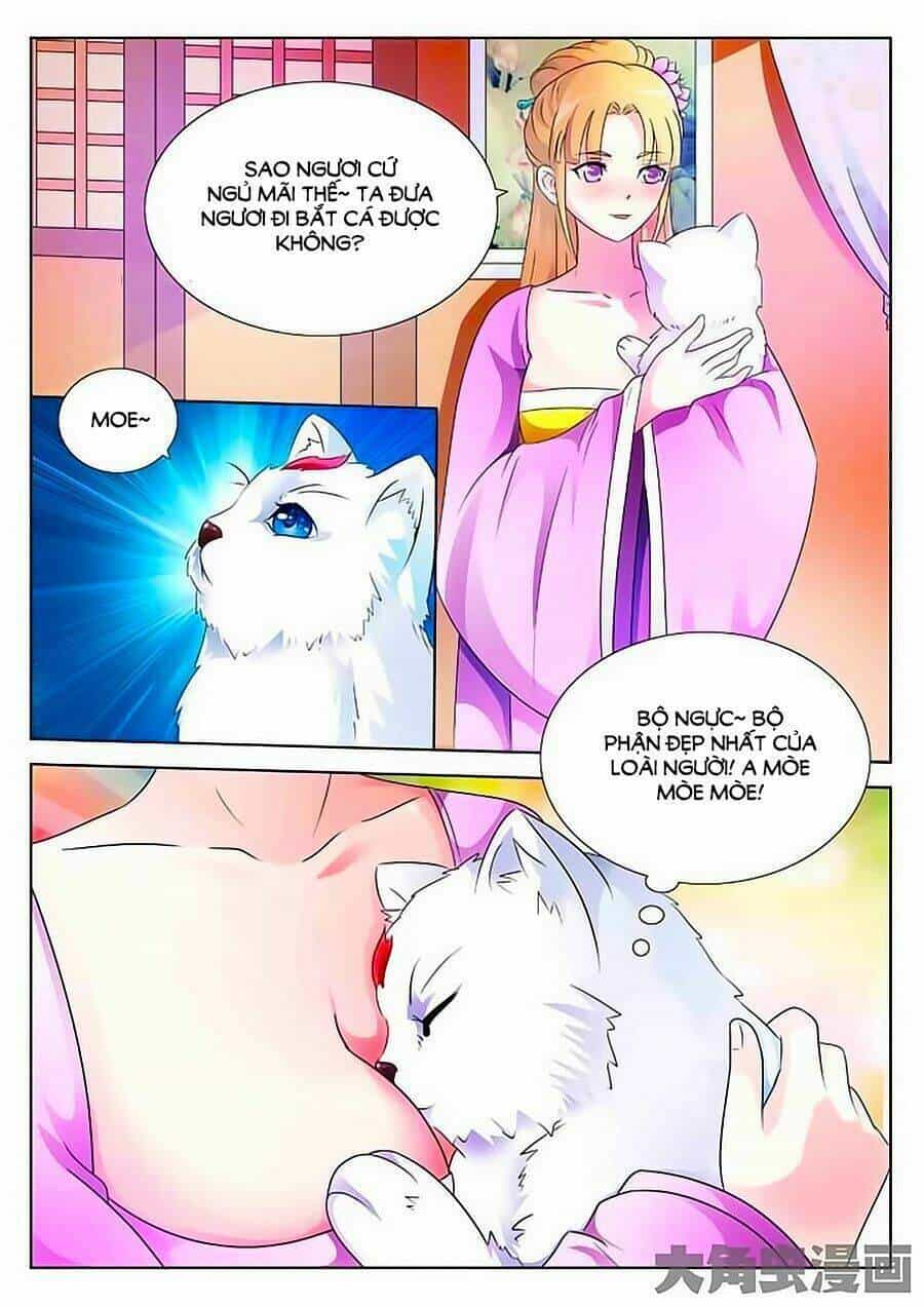Mau Lấy Con Mèo Đó Ra - Chương 1 - ảnh 8