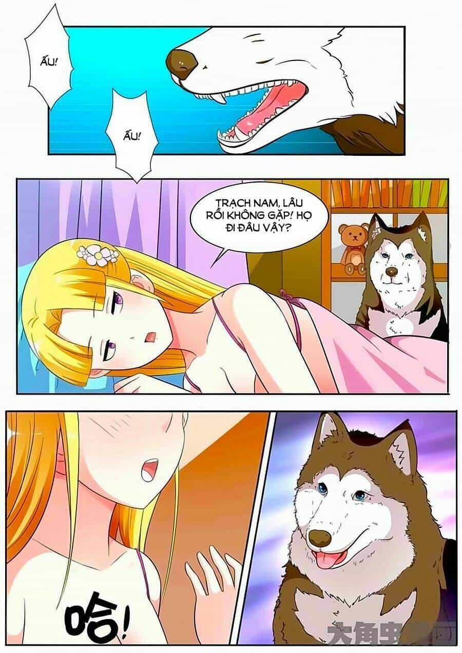 Mau Lấy Con Mèo Đó Ra - Chương 17 - ảnh 11