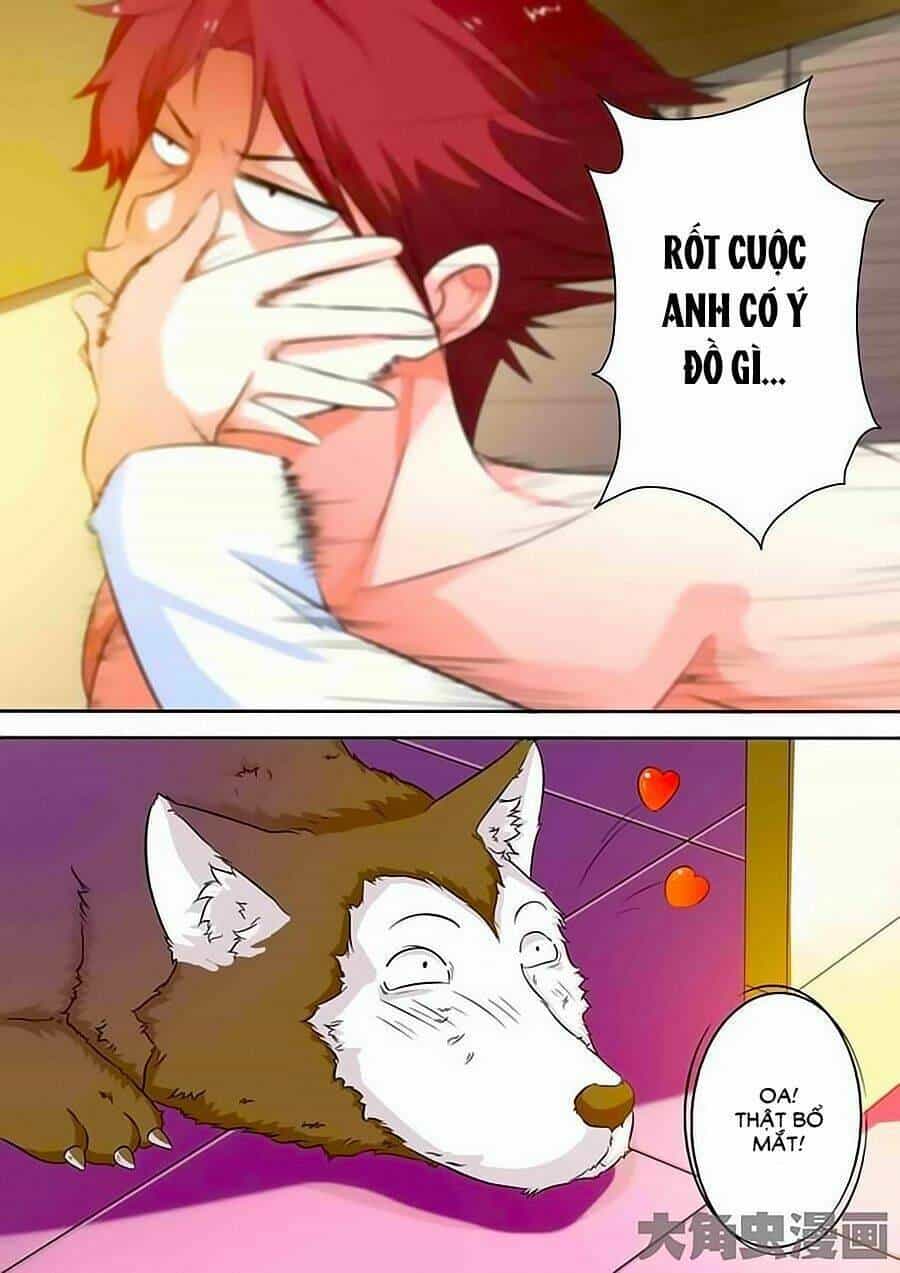 Mau Lấy Con Mèo Đó Ra - Chương 19 - ảnh 9