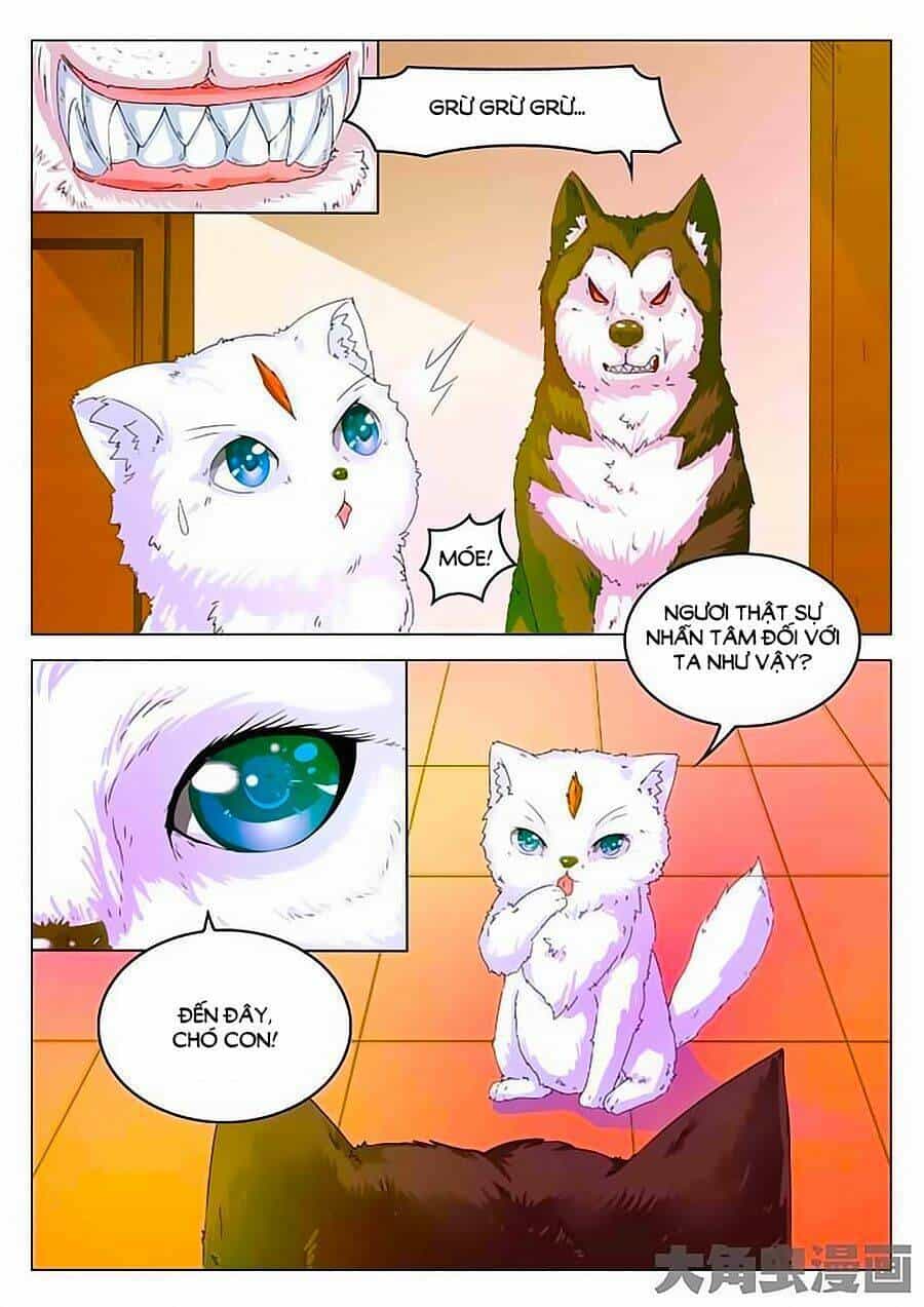 Mau Lấy Con Mèo Đó Ra - Chương 2 - ảnh 13