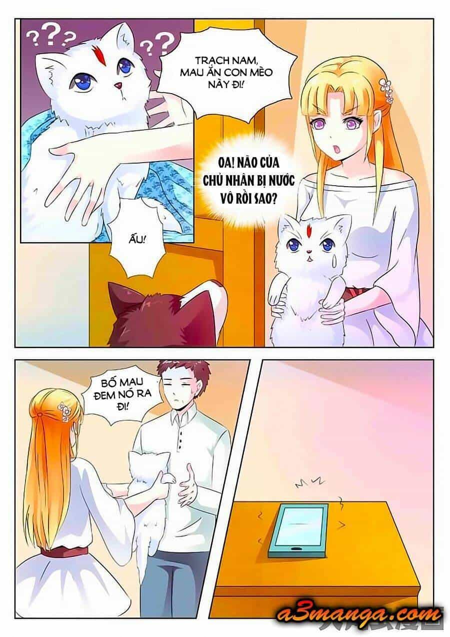 Mau Lấy Con Mèo Đó Ra - Chương 2 - ảnh 5