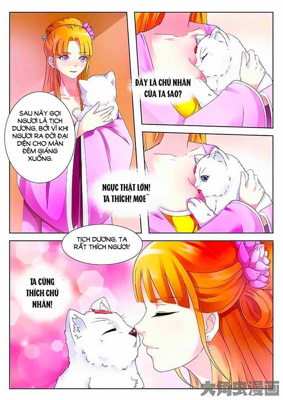 Mau Lấy Con Mèo Đó Ra - Chương 2 - ảnh 7