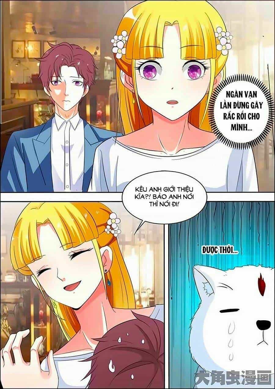 Mau Lấy Con Mèo Đó Ra - Chương 22 - ảnh 5