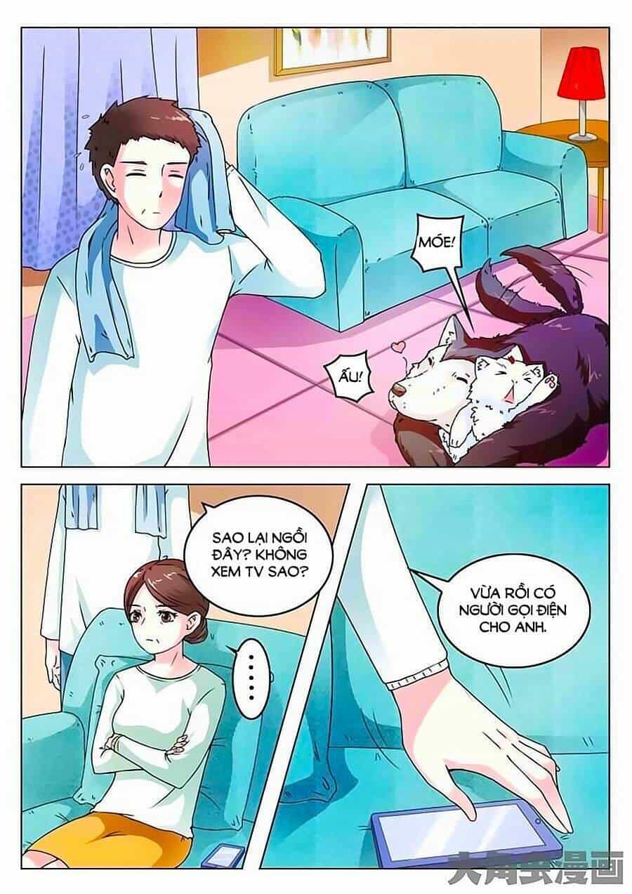 Mau Lấy Con Mèo Đó Ra - Chương 5 - ảnh 8
