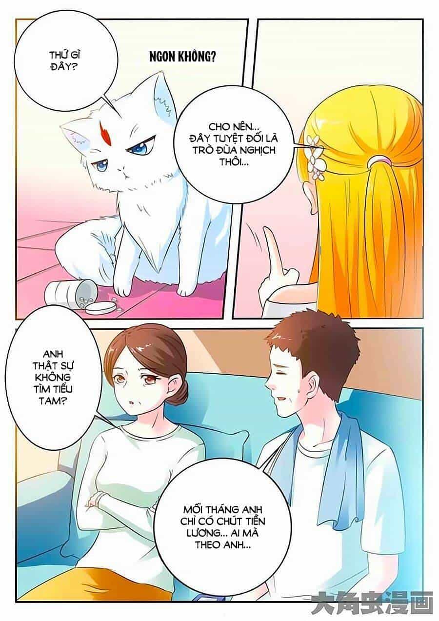 Mau Lấy Con Mèo Đó Ra - Chương 9 - ảnh 5