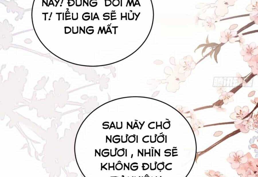 Mau Xuyên Không Rửa Tội Cho Nhân Vật Phản Diện - Chương 94 - ảnh 21