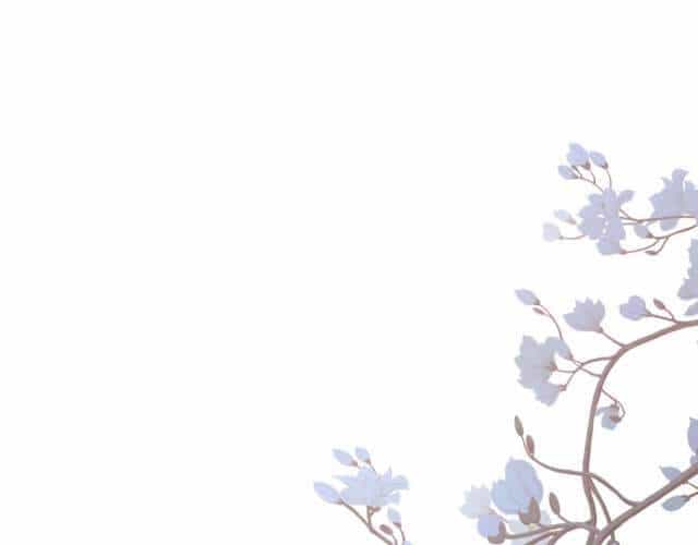 Mau Xuyên Không Rửa Tội Cho Nhân Vật Phản Diện - Chương 9 - ảnh 29