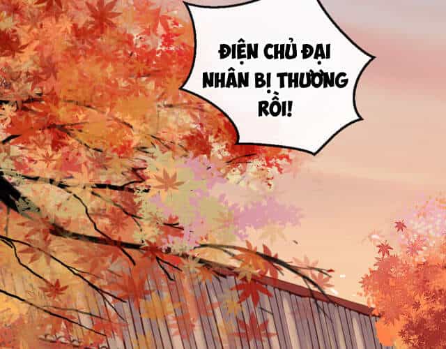 Mau Xuyên Không Rửa Tội Cho Nhân Vật Phản Diện - Chương 11 - ảnh 4
