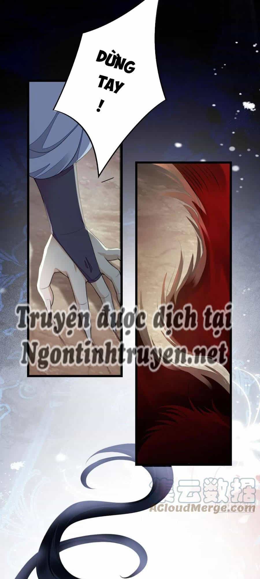 Mau Xuyên Không Rửa Tội Cho Nhân Vật Phản Diện - Chương 29 - ảnh 33