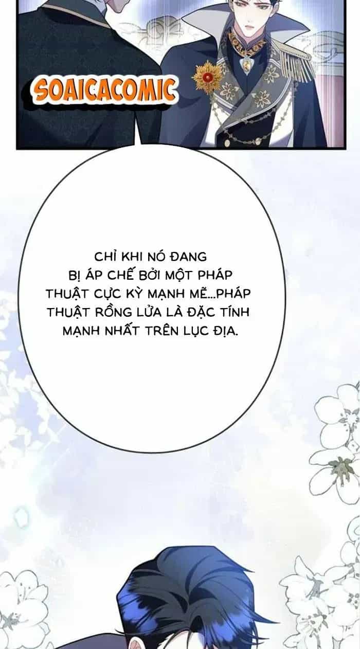 Mẹ Đơn Thân Và Nổi Ám Ảnh Của Thái Tử - Chương 24 - ảnh 11