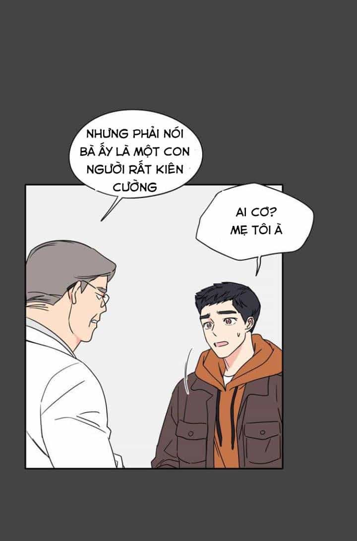 Mẹ Ơi, Con Xin Lỗi! - Chương 1 - ảnh 13