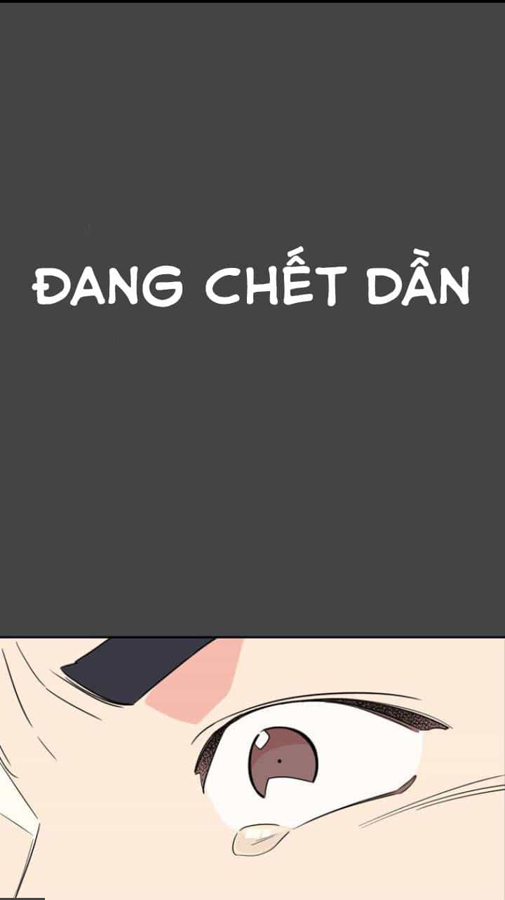 Mẹ Ơi, Con Xin Lỗi! - Chương 1 - ảnh 5