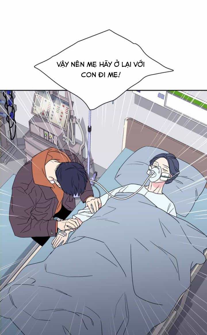 Mẹ Ơi, Con Xin Lỗi! - Chương 1 - ảnh 53