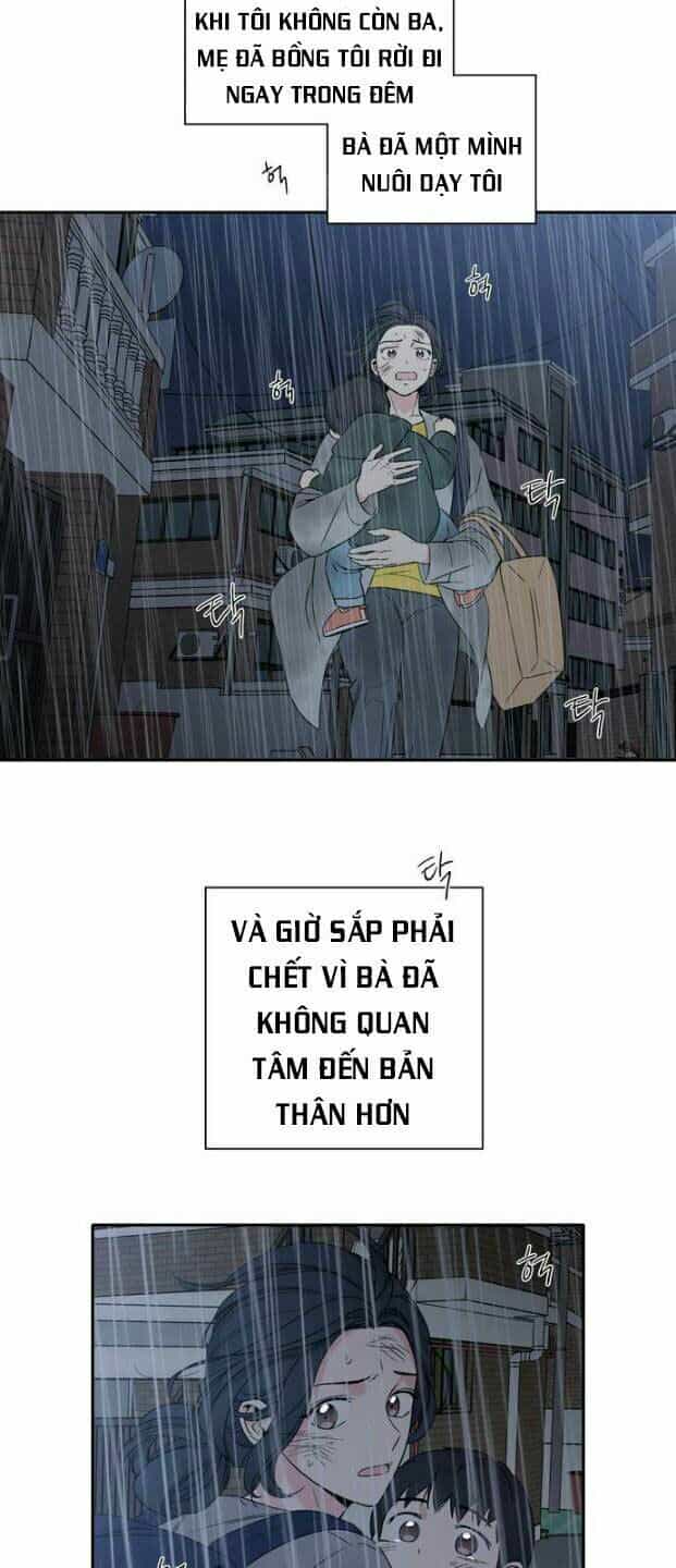 Mẹ Ơi, Con Xin Lỗi! - Chương 2 - ảnh 36