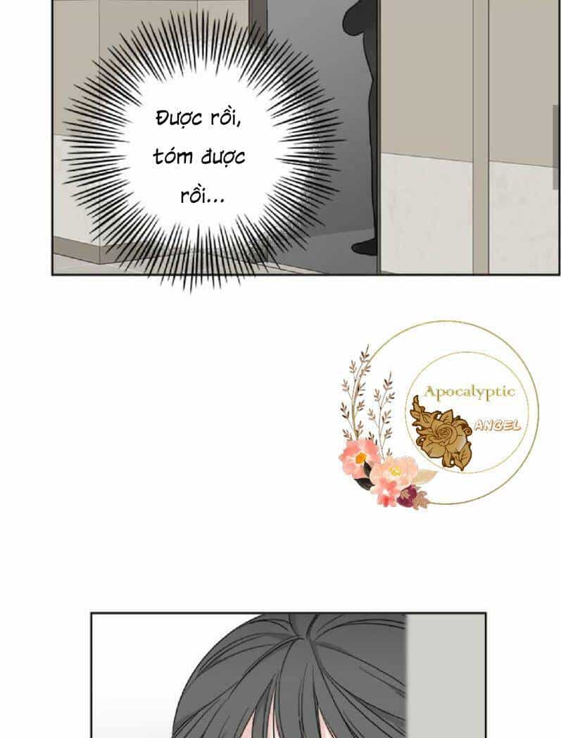 Mẹ Ơi, Con Xin Lỗi! - Chương 24 - ảnh 59