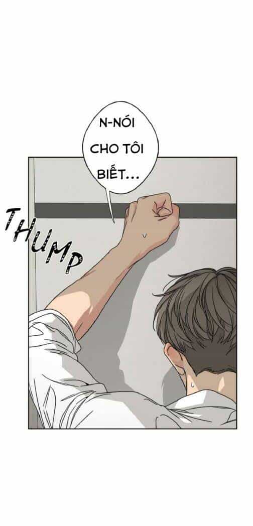 Mẹ Ơi, Con Xin Lỗi! - Chương 24 - ảnh 72